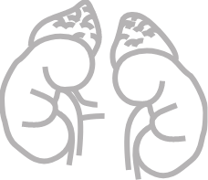 Cirurgias da supra-renal (adrenal)